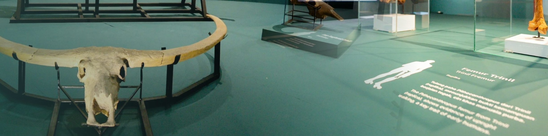 MUSEUM >